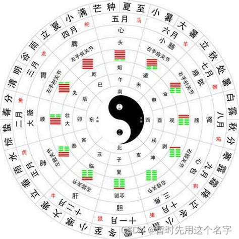 地支是什麼|天幹地支